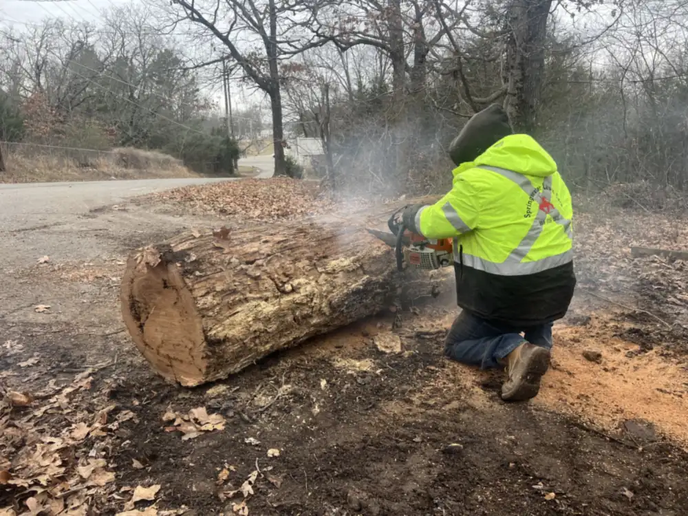Crew member cutting a tree with a chainsaw in Tahlequah, OK